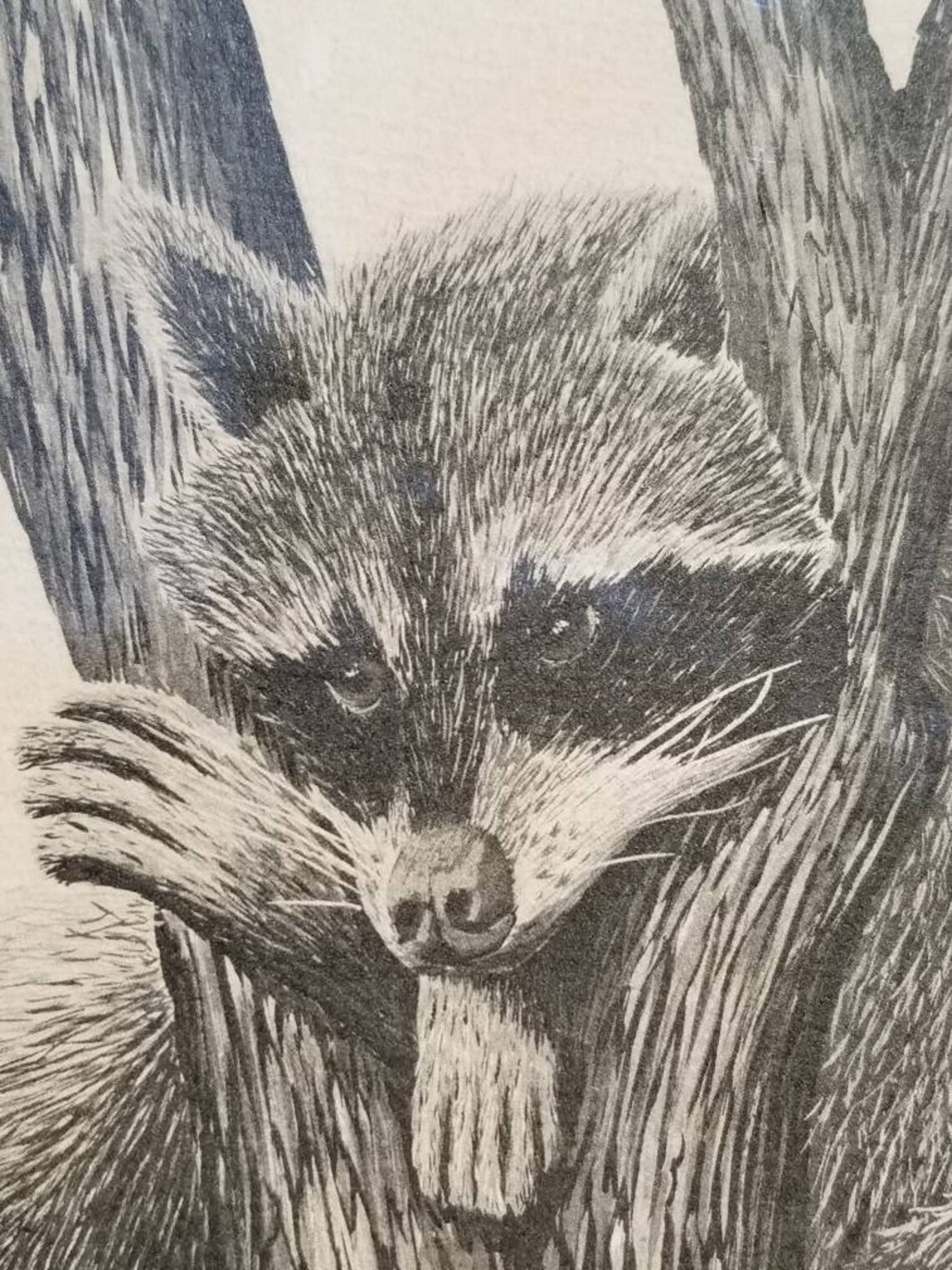 black and white sketch framed art
