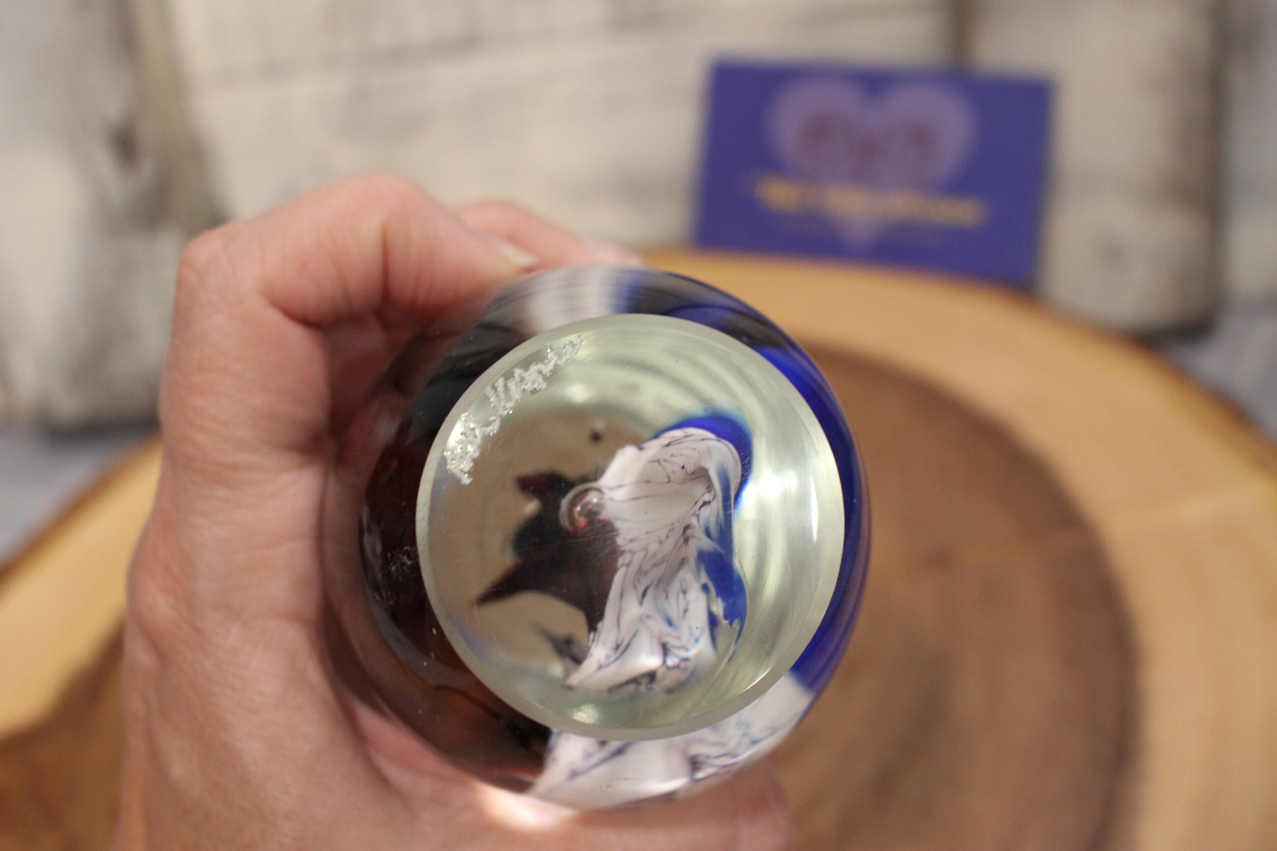 Extra Large Hand Blown Coral and Jellyfish Look Paperweight Encased in ...