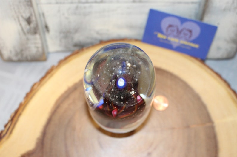 Extra Large Hand Blown Coral and Jellyfish Look Paperweight Encased in ...