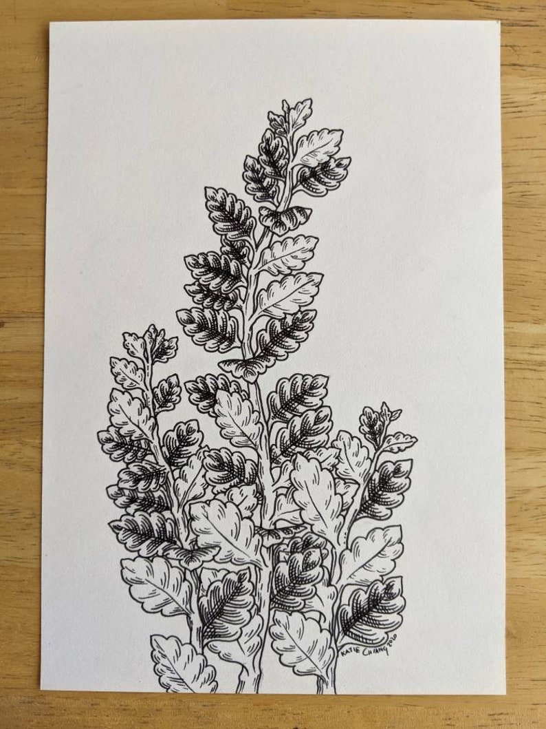 Kalanchoe Artwork Plant Decor Original Artwork One of a Kind Artwork Kalanchoe Blossfeldiana Drawing Plant Art House Plants