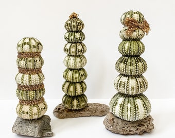 Sea Urchin Christmas Trees, Beach Holiday Decor, Set of 3