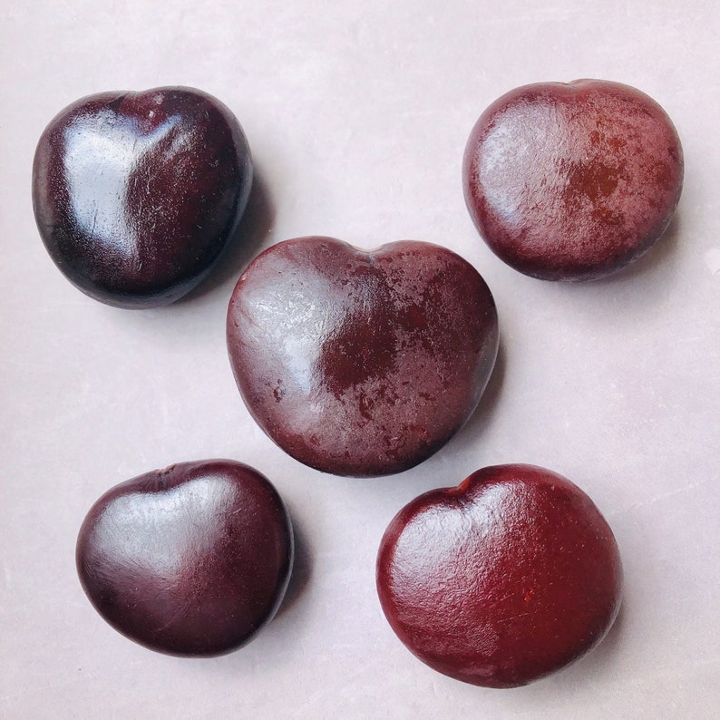 Sea beans Sea hearts sea bean for crafts and jewelry Lot of Etsy