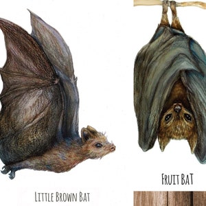 Watercolor Bats Set Of 3 Forest Creature Prints - 2 Little Brown Bats 1 Fruit Bat - Digital Printable PDF Wall Art Cute Bats Animal Wall Art