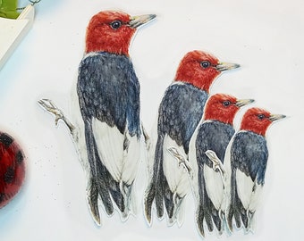 Wild Woodpecker Etsy