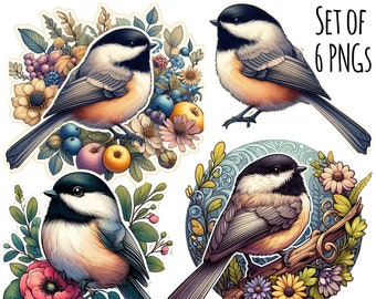 Chickadee PNGs Set Of 6 Watercolor Clip Art Bird Printables 8 To 10w Inch Each With Transparent Backgrounds Chickadee Birds Card Sticker Art