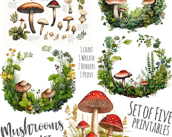 Forest Mushroom PNGs Set Of 5 Mushroom Illustration Printables 12x12 Inch Each 300Dpi Kitchen Print Mushroom Chart Mushroom Wreath Clip Arts