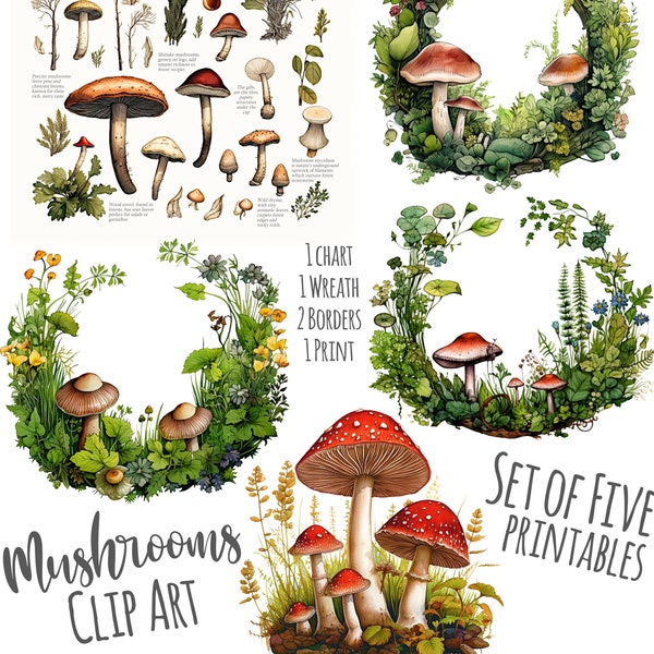 Forest Mushroom PNGs Set Of 5 Mushroom Illustration Printables 12x12 Inch Each 300Dpi Kitchen Print Mushroom Chart Mushroom Wreath Clip Arts