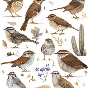 Könnte beinhalten: Aquarell-Illustration mit mehreren Carolina-Zaunkönigen in verschiedenen Posen. Die Vögel sind in Braun-, Beige- und Weißtönen dargestellt, mit detaillierten Federstrukturen. Das Bild enthält florale und pflanzliche Elemente, und der Text "Carolina Wren" befindet sich oben.