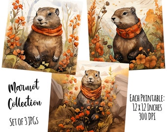 Marmots Set Of 3 Woodland Animal Prints Printable Funny Animals 12x12 Inch JPG Animal Wall Art Download Digital Illustration Stickers & Card
