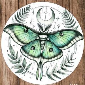 May include: A digital illustration of a green luna moth with a crescent moon and stars on a white background. The moth is surrounded by fern leaves. The image is 9 inches in diameter and 300 DPI.