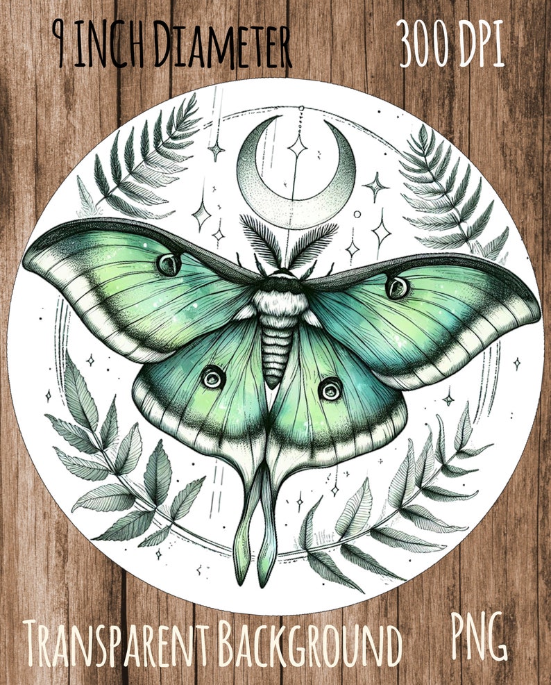 May include: A digital illustration of a green luna moth with a crescent moon and stars on a white background. The moth is surrounded by fern leaves. The image is 9 inches in diameter and 300 DPI.