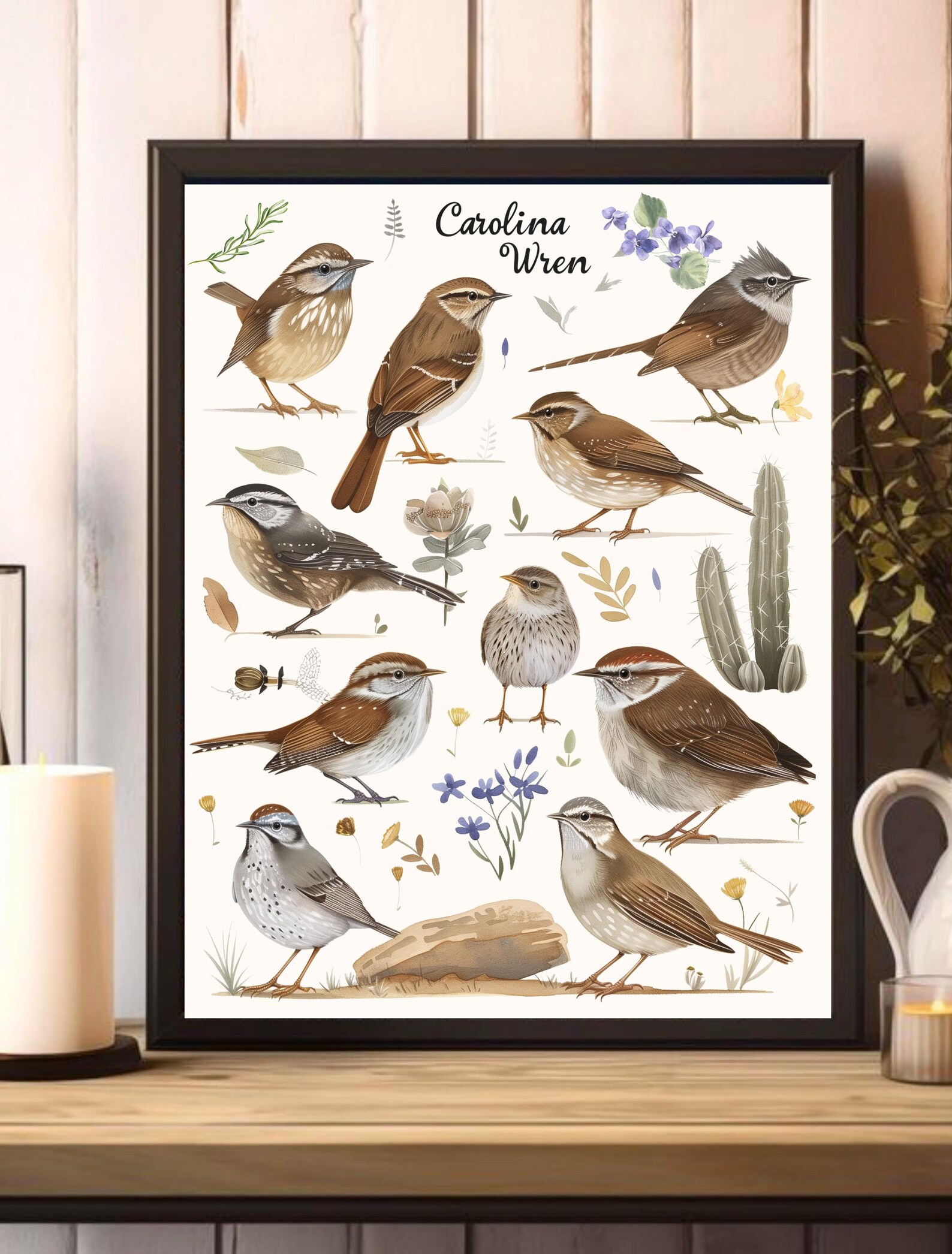 Bird Chart Field Guide Set 2 Prints Carolina Wrens and Winter Wrens ...