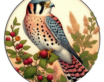Kestral Falconry Bird Illustration Digital Download 11 Inch Diameter Bird PNG Printable Hawk Sub Art Printable Card Art Bird Nature Stickers