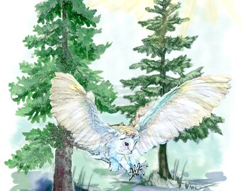Barn Owl Watercolor Print | Forest Landscape Illustration (Digital Download)