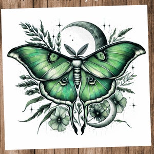 May include: A green luna moth with a crescent moon and white flowers. The moth is surrounded by green foliage and stars.