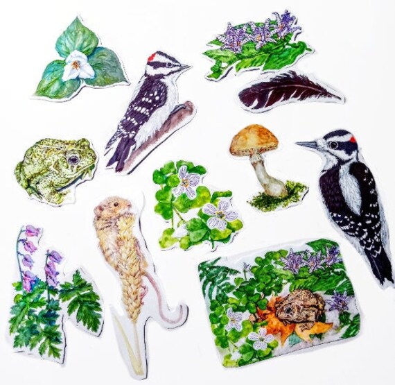 Forest Flora And Fauna Sticker Pack Woodpeckers And Woodland Etsy