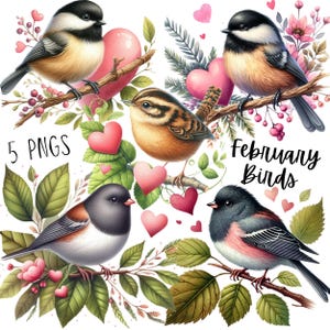 May include: Five digital illustrations of birds with pink hearts and green leaves. The text "February Birds" is in the center of the image.