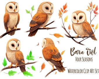 Barn Owl PNGs Set Of 5 Seasonal Owl Printables Each Owl Prints To 8 Inches Tall At 300Dpi Res Cute Owls Four Seasons Sticker Art Bird Prints