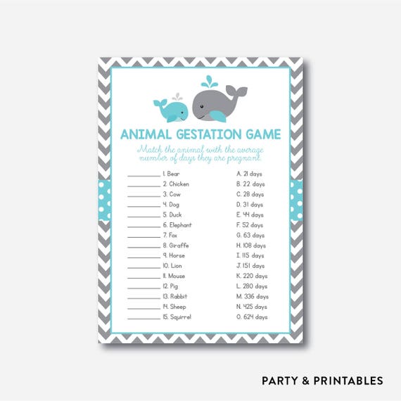Instant Download Whale Animal Gestation Whale Animal Pregnancy