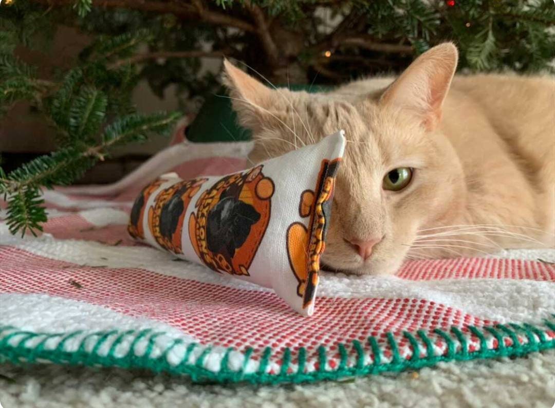 Catnip Cat Kicker Feat. Breadstick Etsy