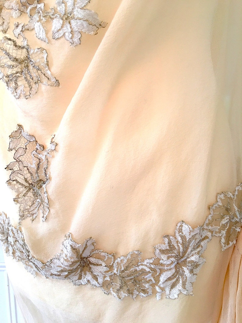 Stunnng Metallic Lace Trim Gown Georgette Dress Vintage Gatsby Dress Roaring Twenties Antique Wedding Dress 1920s Flapper Dress