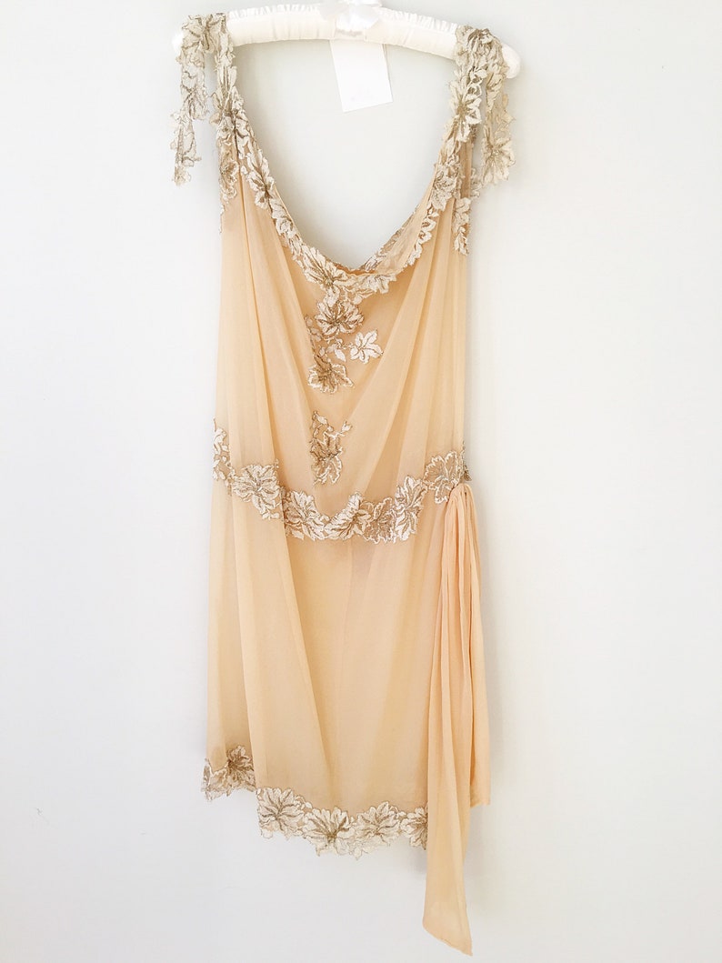 Stunnng Metallic Lace Trim Gown Georgette Dress Vintage Gatsby Dress Roaring Twenties Antique Wedding Dress 1920s Flapper Dress