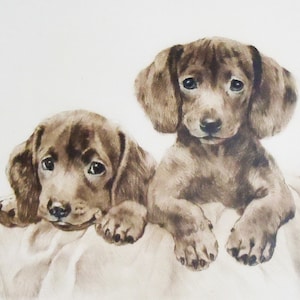 May include: Two brown dachshund puppies are lying on a white blanket. The puppies are looking at the camera with their heads tilted. The puppy on the left is lying on its side with its paws tucked under its body. The puppy on the right is lying on its belly with its paws stretched out in front of it.