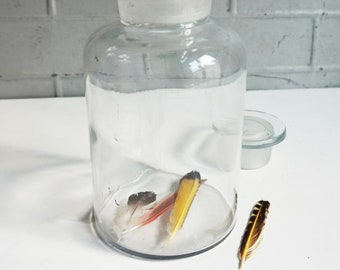 Apothecary Bottles  / Heavy / Large / Ground Glass / Wide mouth / 7&quot; Inches tall