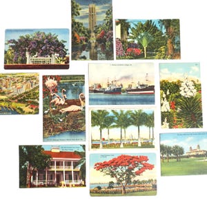 Florida / Vintage Picture Postcards / 12 Authentic Images