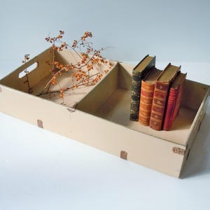 Trunk Tray / Large Metal Tray with Handles / Beautiful Industrial Relic / Usable / Cleaned and Painted