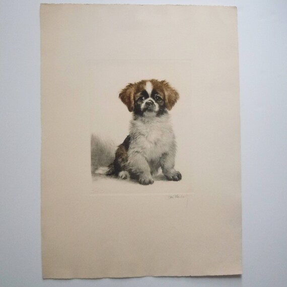 Dog Engraving / Kurt Meyer Eberhardt / 1946 / Authentic Early