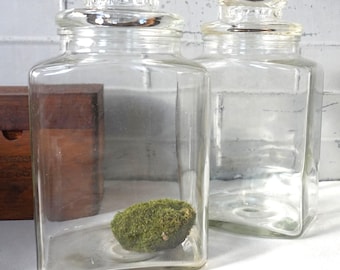 Glass Jars / 2 Heavy Duty Large Square Shaped / Great Style and Storage / Authentically Old