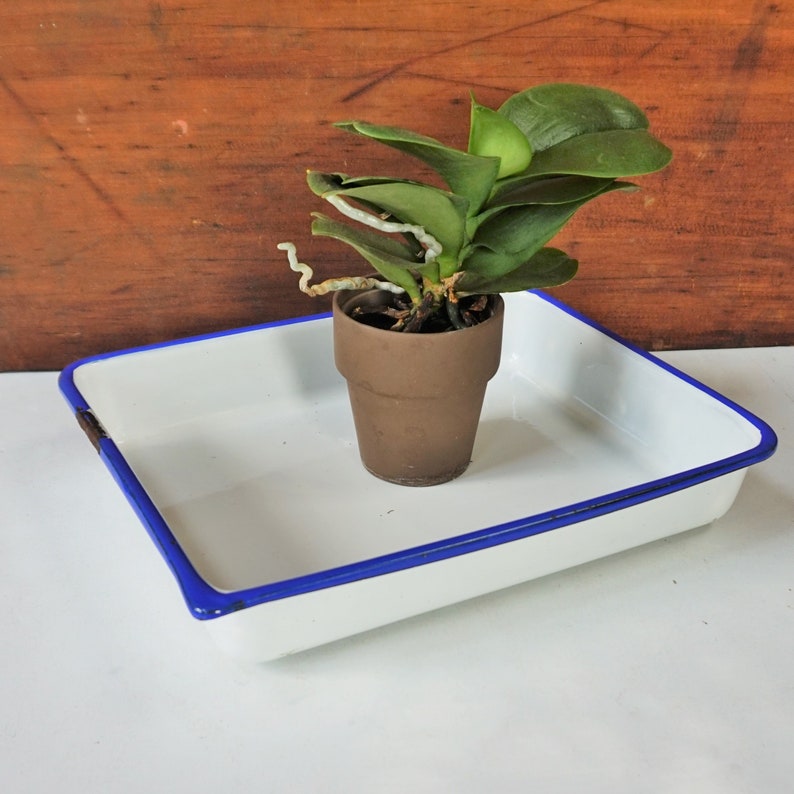 White Rectangular Pan with Blue edge / Good Usable Condition / Photo Tray / Enamelware at its best imagem 2