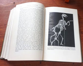 Organic Evolution / Old School /MacMillan 1929  / Preserved Condition