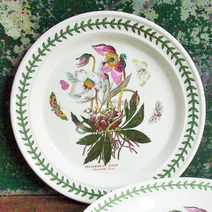 Vintage Portmeirion Botanic Garden China / Large Plate / Great Botanical Illustrations / Christmas Rose