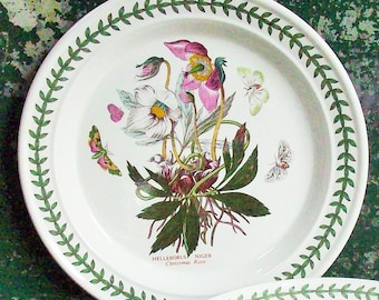 Vintage Portmeirion Botanic Garden China / Large Plate / Great Botanical Illustrations / Christmas Rose