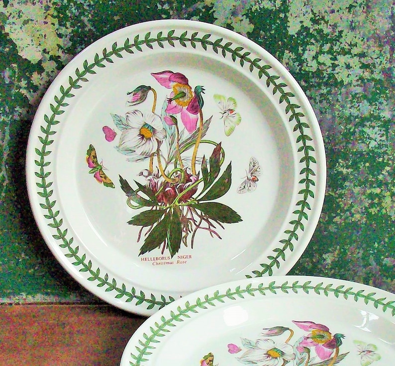Vintage Portmeirion Botanic Garden China / Large Plate / Great | Etsy