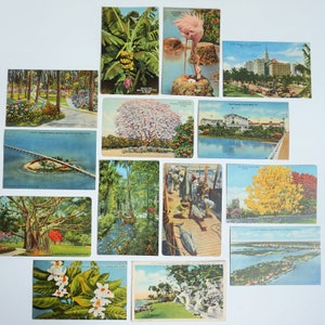 Florida / Vintage Picture Postcards / 14 Authentic Images