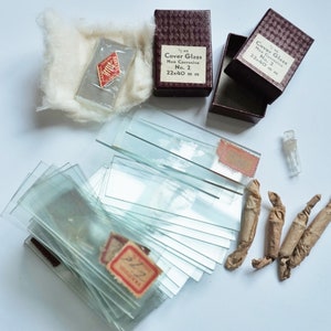 Science  / Glass Slides  / Vintage Laboratory / Authentic Glimpse of Time / Glass Sleeves / Adhesive