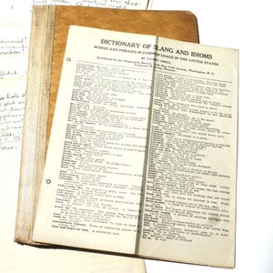 Slang / Dictionary of Slang and Idioms / Common Usage in the US / Official Document