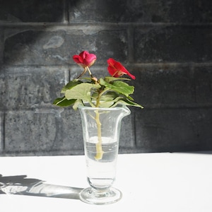 May include: A clear glass beaker with a graduated scale filled with water and a small plant with red flowers. The plant is rooted in the water.