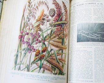 May include: A vintage book page with a colorful illustration of various types of grasses. The text on the page reads "Some Beautiful British Grasses and Sedges".