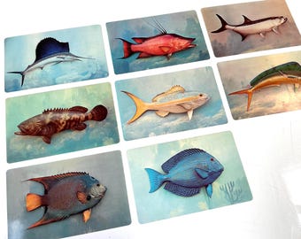 Fish postcards / Vintage fish photo postcards / Colorful