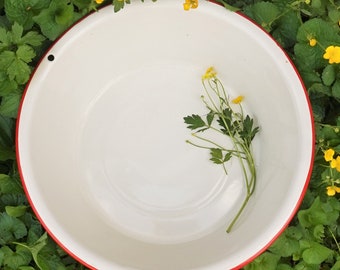 May include: A white enamel bowl with a red rim, surrounded by green foliage and yellow flowers. The bowl is empty and has a smooth, glossy surface.
