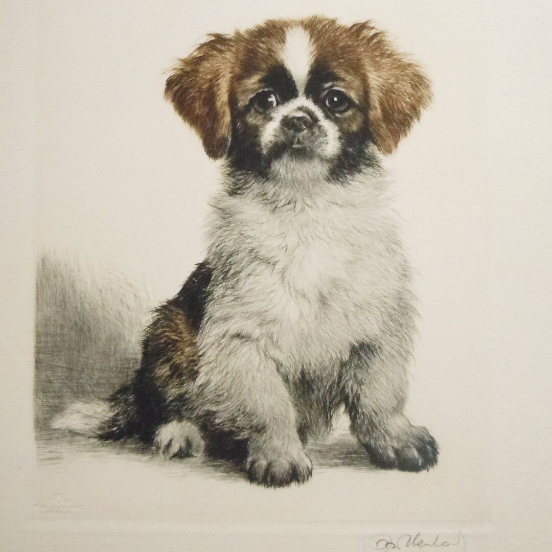 Dog Engraving / Kurt Meyer Eberhardt / 1946 / Authentic Early