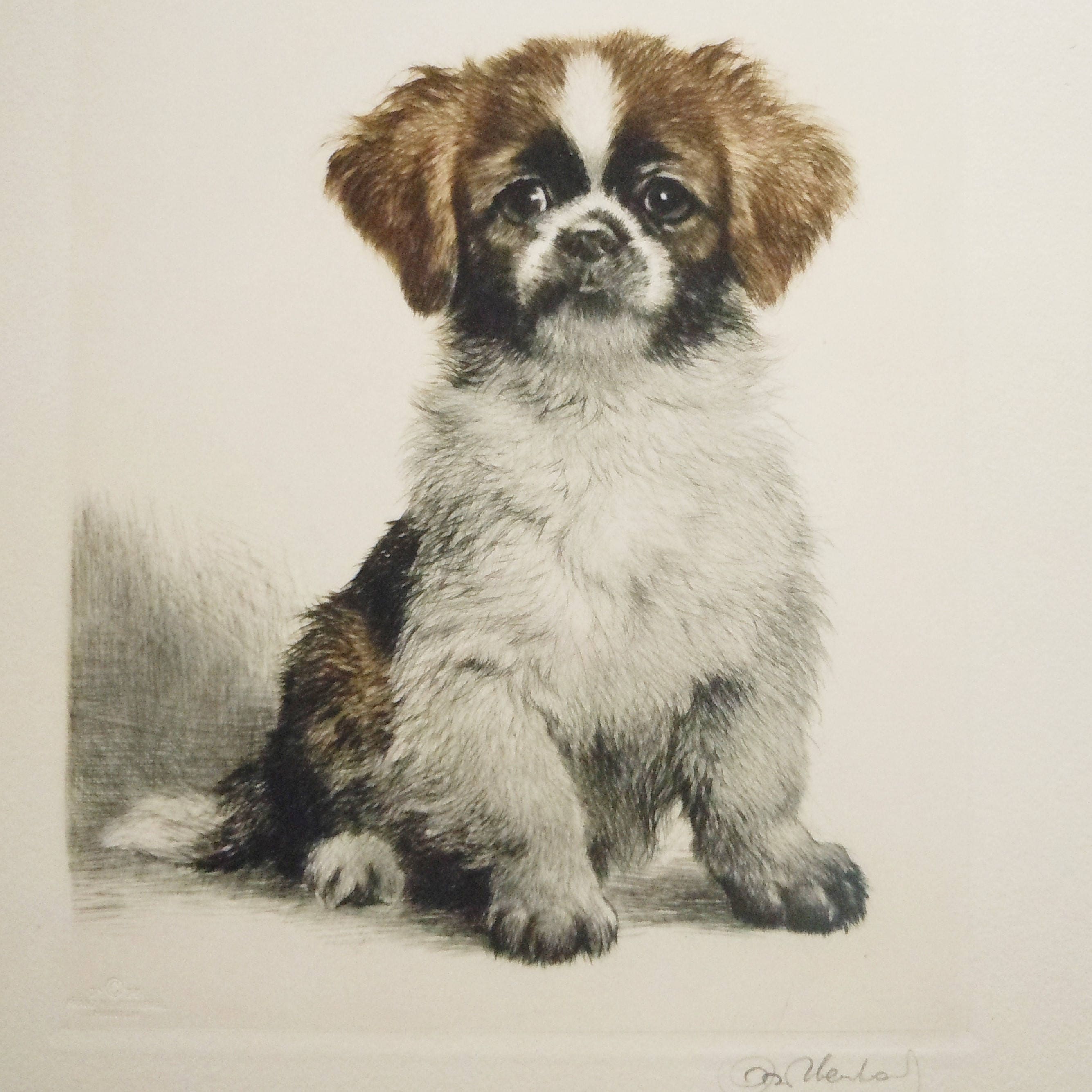 Kurt Meyer Eberhardt - Etsy