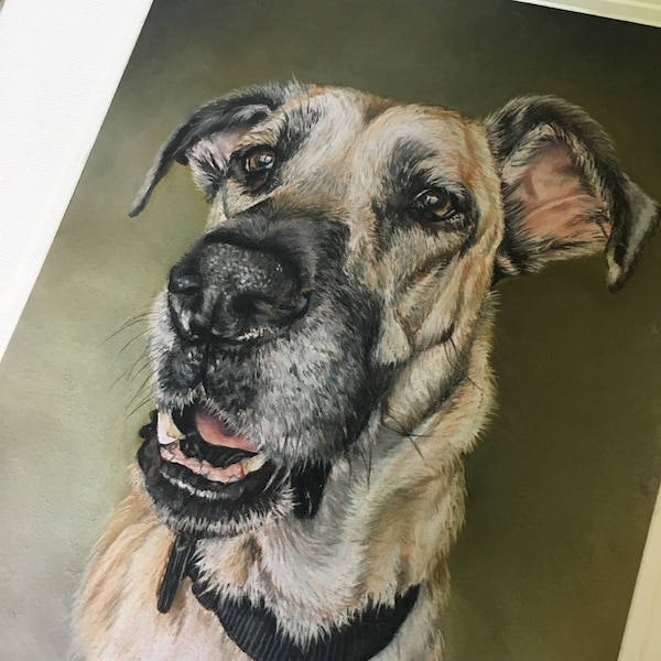 Retrato de mascota personalizado en pastel