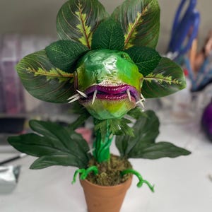 May include: A handcrafted, whimsical plant sculpture in a terracotta pot. The plant features large, green leaves with burgundy accents, and a central, grinning head with sharp teeth. The head is a vibrant green with purple lips and white fangs.