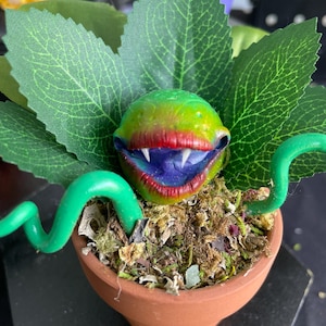 Audrey II Piranha Plant Little Shop of Horrors