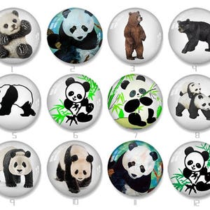 Handmade photo glass Cabochons 8mm  10mm 12mm 14mm 15mm 16mm 18mm 20mm 22mm 25mm 30mm 35mm 40mm 50mm 58mm - xy1168